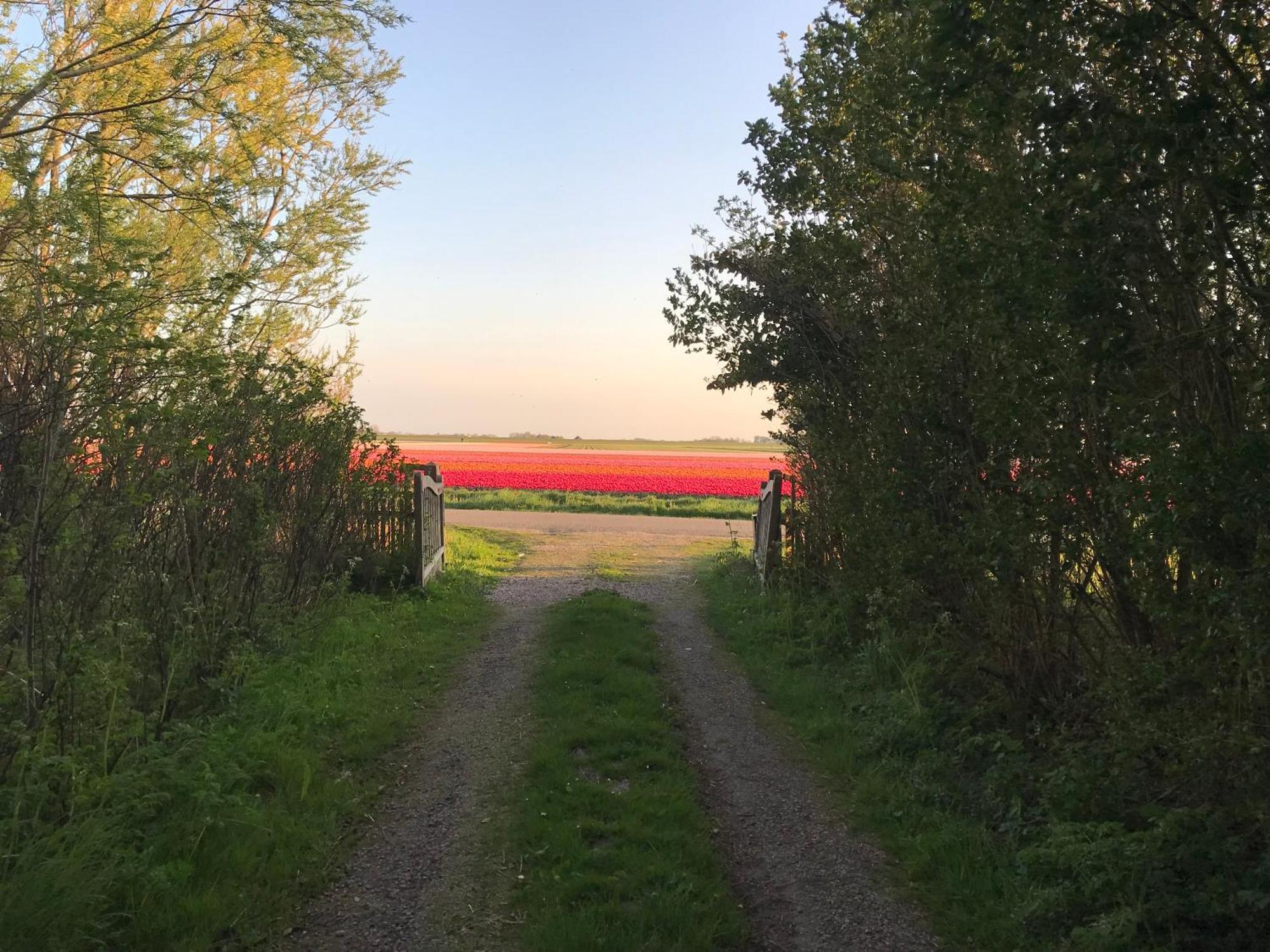 Flower Power Anna Paulowna エクステリア 写真